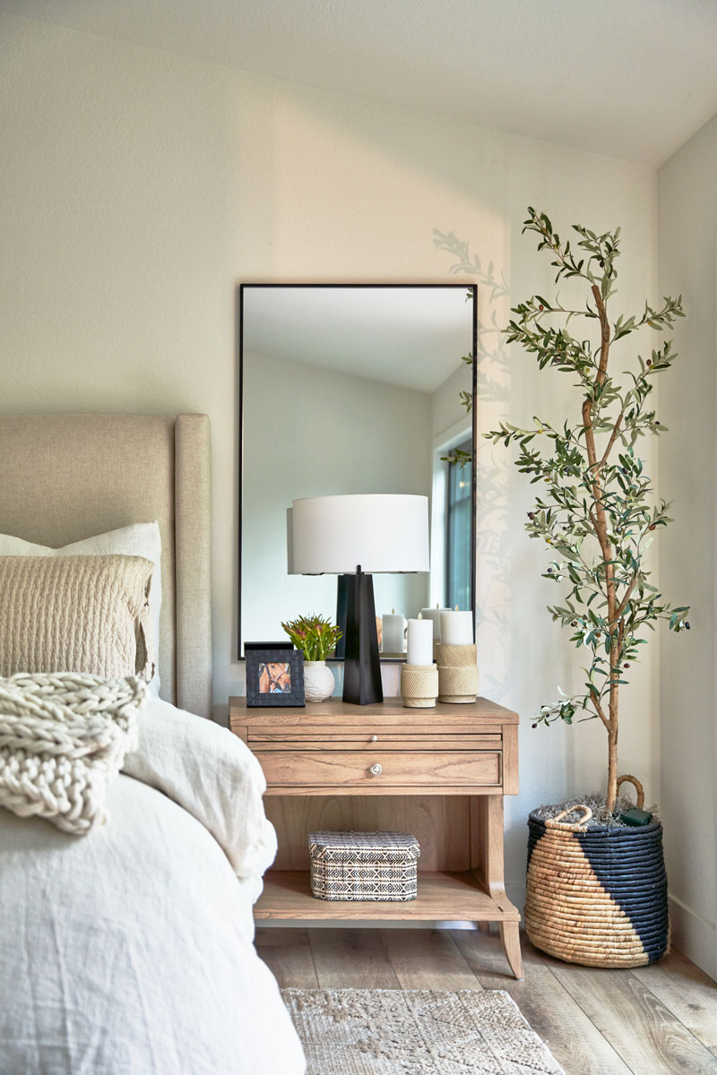 Transitional Farmhouse bedroom